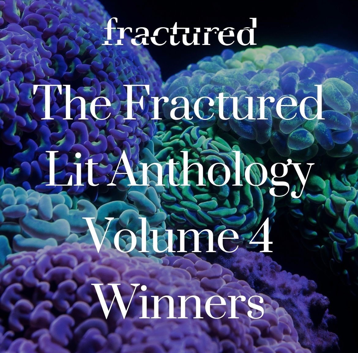megbeingthere's tweet photo. Thank you @FracturedLit  and @Morgan_J_Talty  for selecting my story for the 4th Fractured Lit anthology! https://t.co/0aFAPdxfXI