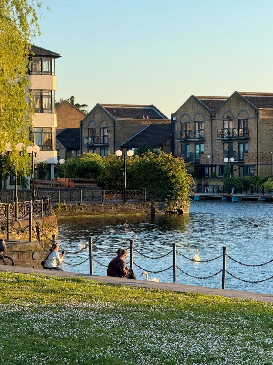 phulushe's tweet image. The weather is very nice, so do you think the white ducks are more beautiful today?