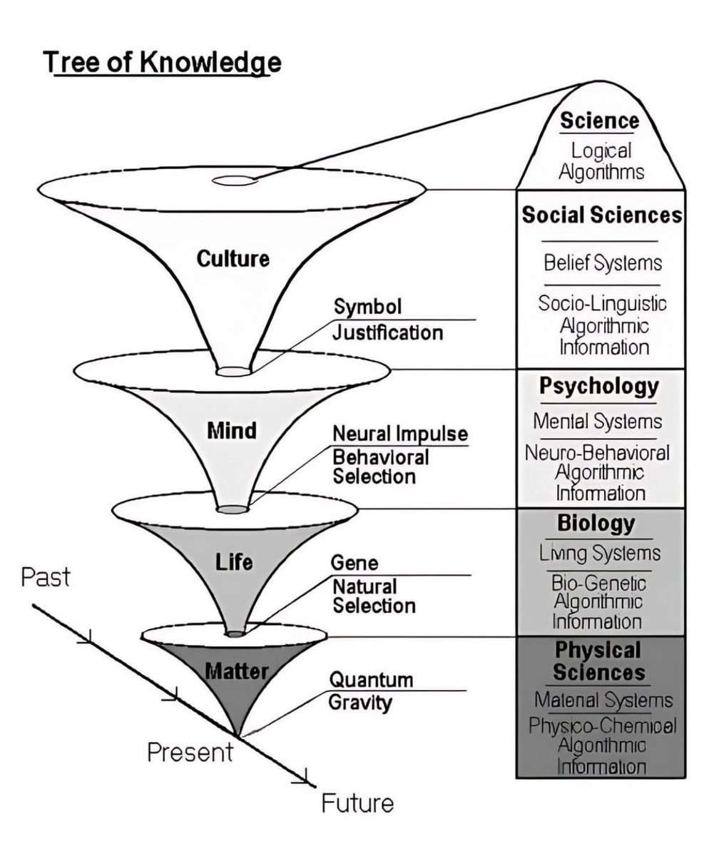 Tree of Knowledge