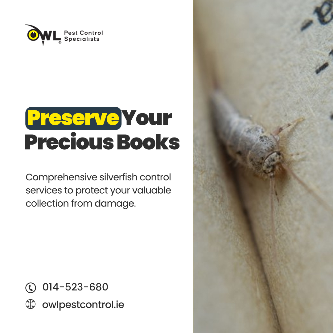 owlpestcontrol's tweet image. Your book collection is more than words on a page—it&apos;s a precious storage of knowledge. Protect these valuable assets with Owl Pest Control Dublin&apos;s silverfish control services. 

📞014-523-680

#owlpestcontrol #silverfishcontrol #bookprotection #dublin