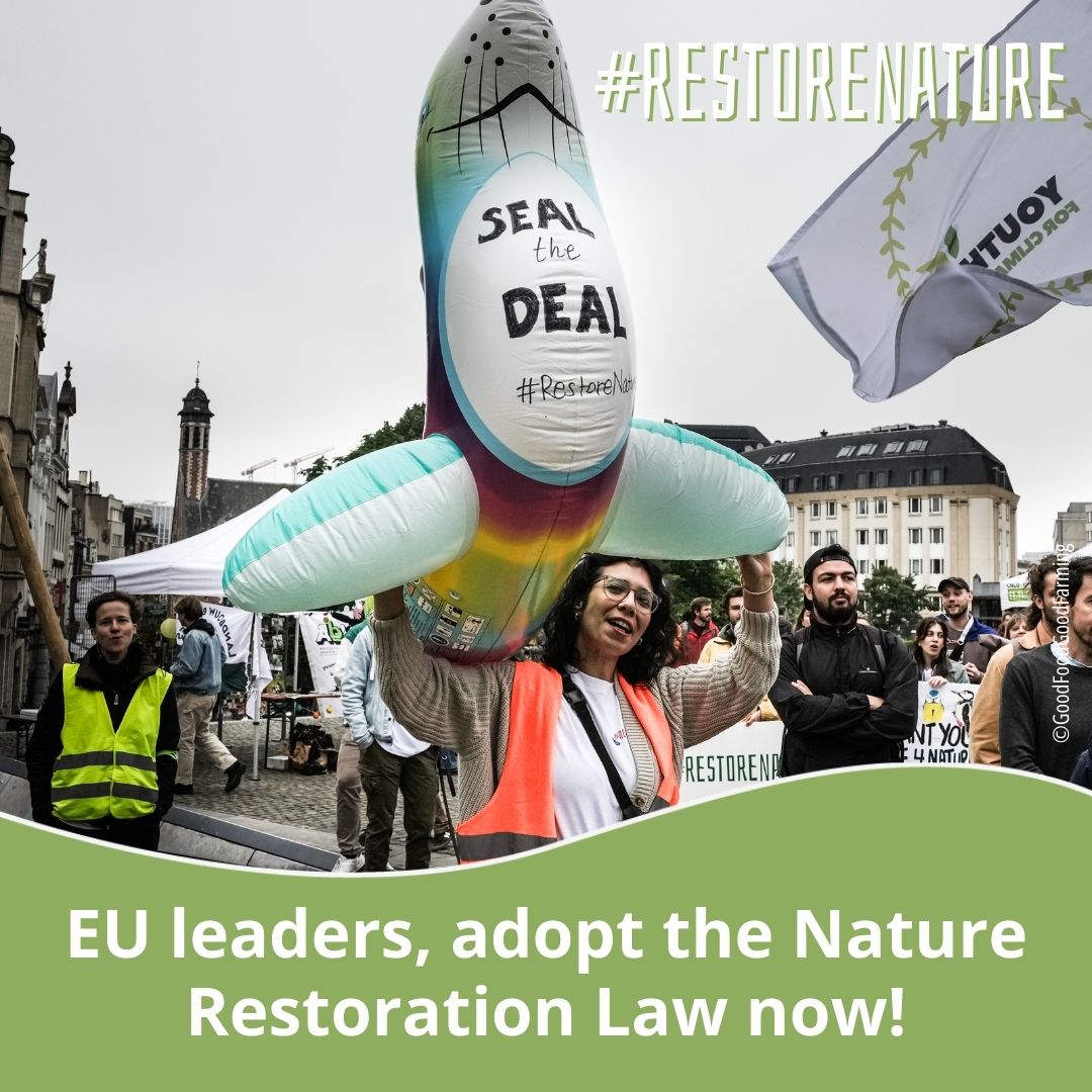 Restoring nature isn't just an option. It's our responsibility!✊

<a href="/EUCouncil/">EU Council</a>, you must make the right choice for our planet. We need a Nature Restoration Law now!

On Monday 17th, all eyes are on you, #ENVI👀 #RestoreNature