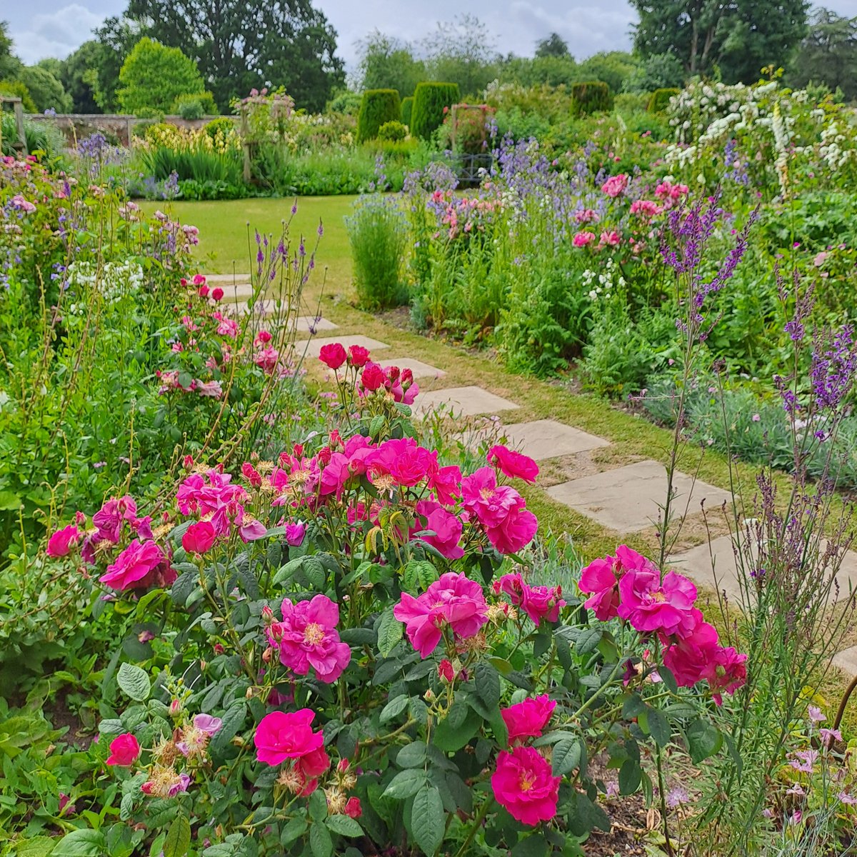 Many of the roses we care for only flower once a year. We leave the once-flowering shrubs and ramblers to produce rosehips, which provide colour in winter and are an essential food source for wildlife. We deadhead any repeat-flowering shrubs.