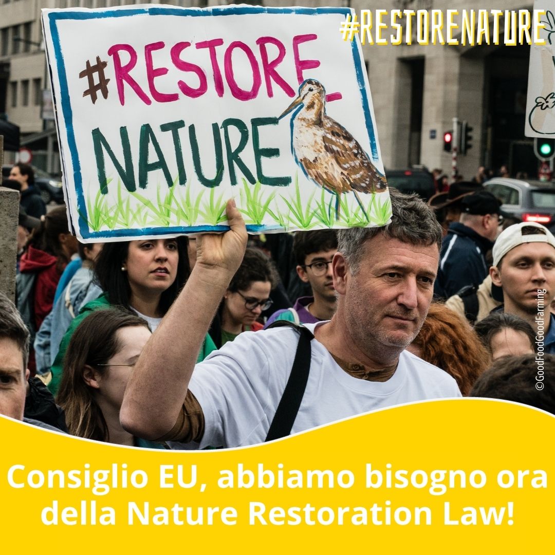 Italia Nostra (@italia_nostra) on Twitter photo #restorenature <a href="/Europarl_IT/">Parlamento europeo</a> fai la scelta giusta per il pianeta lunedì 17 giugno prossimo! #restorenature <a href="/Europarl_IT/">Parlamento europeo</a> fai la scelta giusta per il pianeta lunedì 17 giugno prossimo!