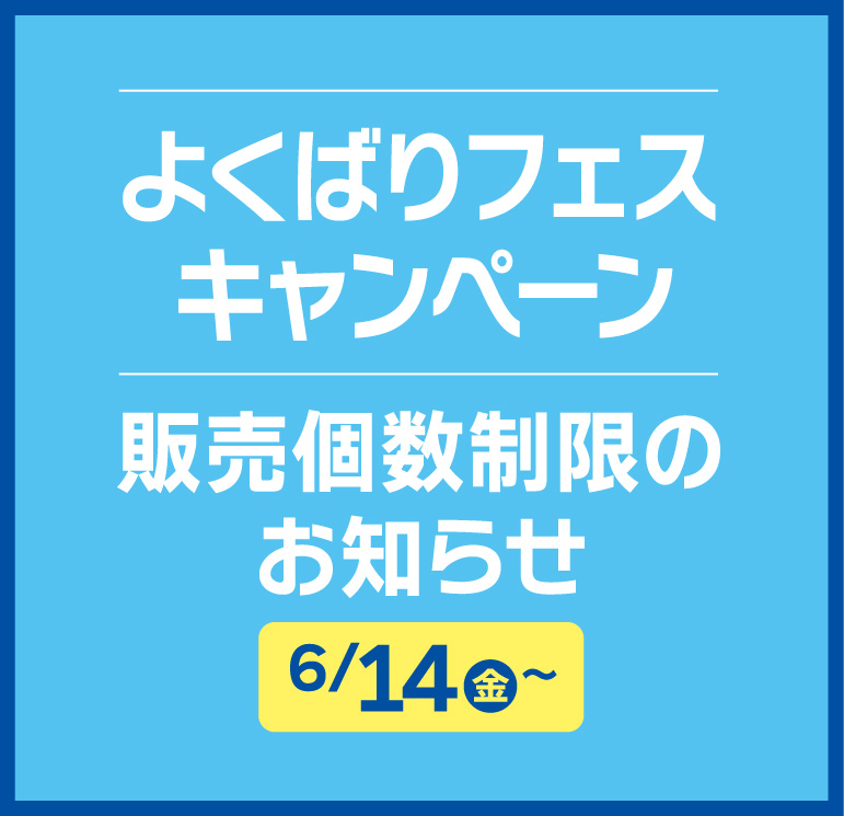 現在開催中の「よくばりフェス」キャンペーンについて、安定した