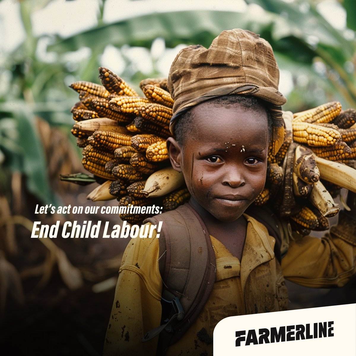 Farmerline tweet media