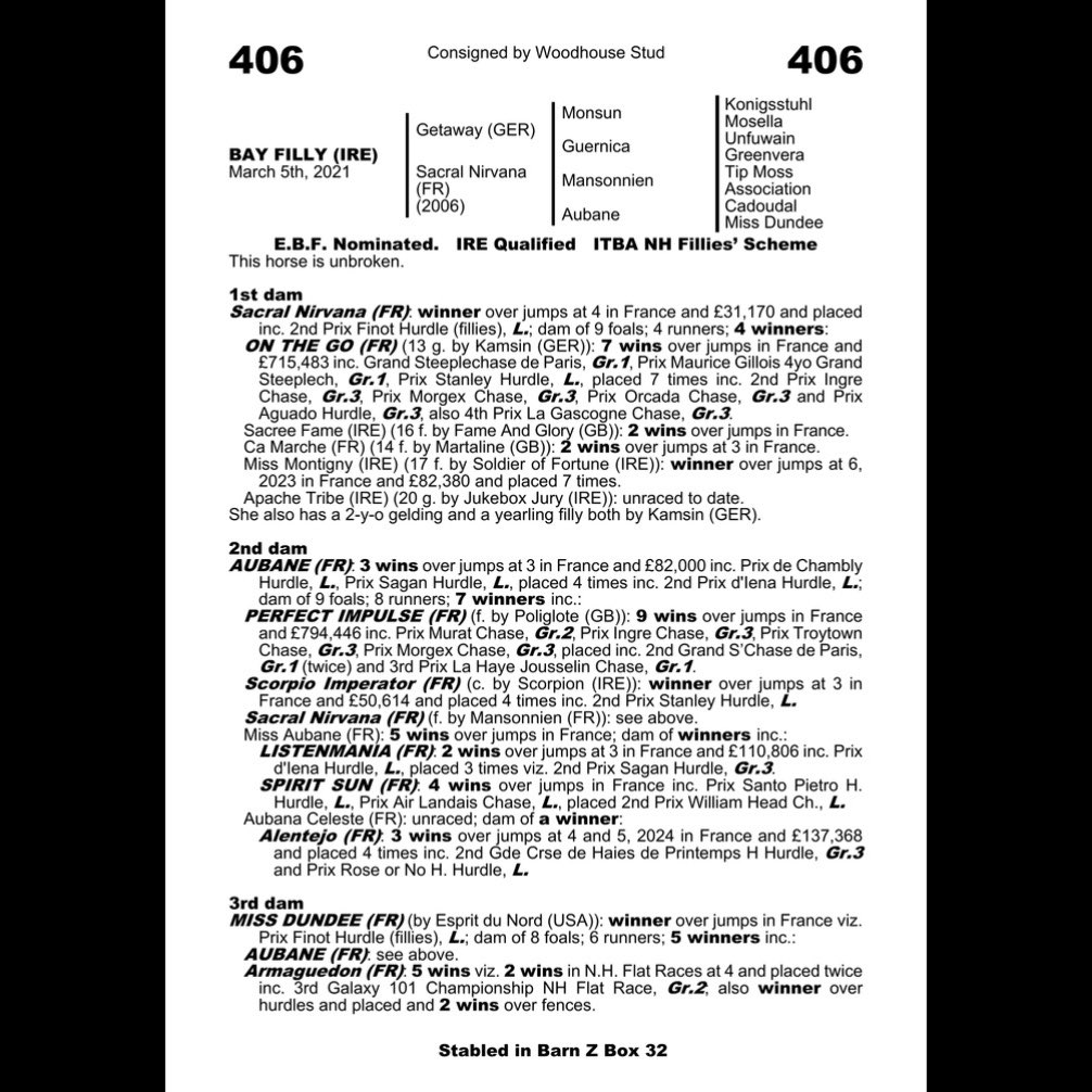 NGAZracing's tweet photo. A successful few days at the Goffs Arkle sale in Ireland, Noel and Amanda came away with some lovely prospects for the future including a half-sister to a winner of the Grand Steeple- Chase de Paris! 
Thank you to @goffs1866 for putting on a brilliant sale ✨ https://t.co/tkhAbIJIiC