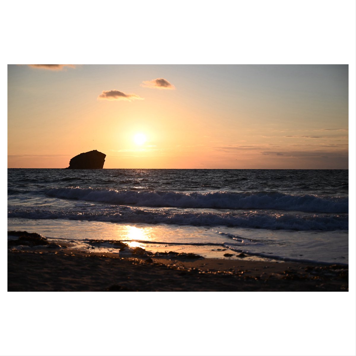 Trevor Wisker tweet media