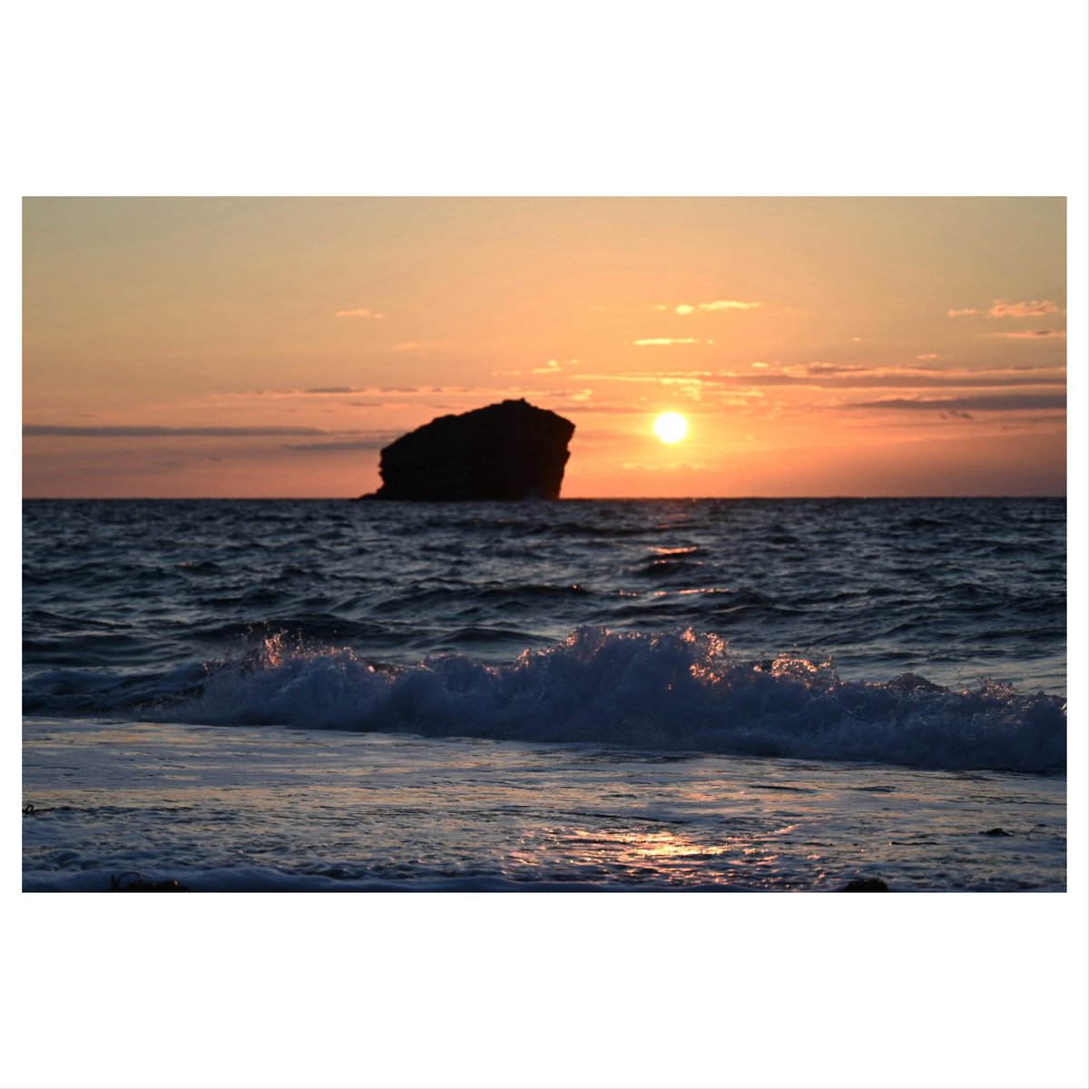 Trevor Wisker tweet media