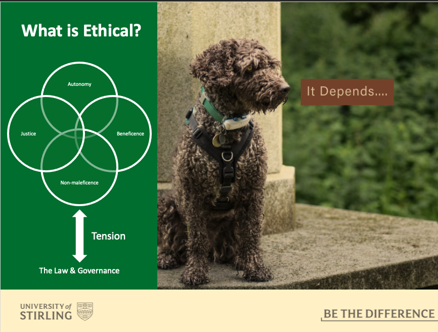 Andy Kirkland Ph.D. tweet media