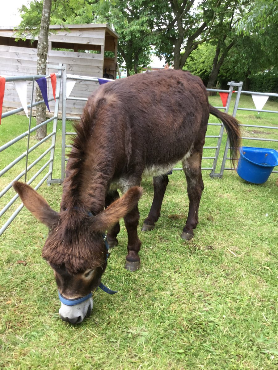 F1 had the most amazing day seeing all the fantastic farm animals after learning so much in our topic this half term! They have learnt even more facts now #farmyardfun
