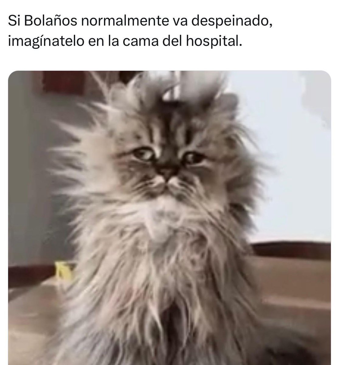 Félix Bolaños tweet media