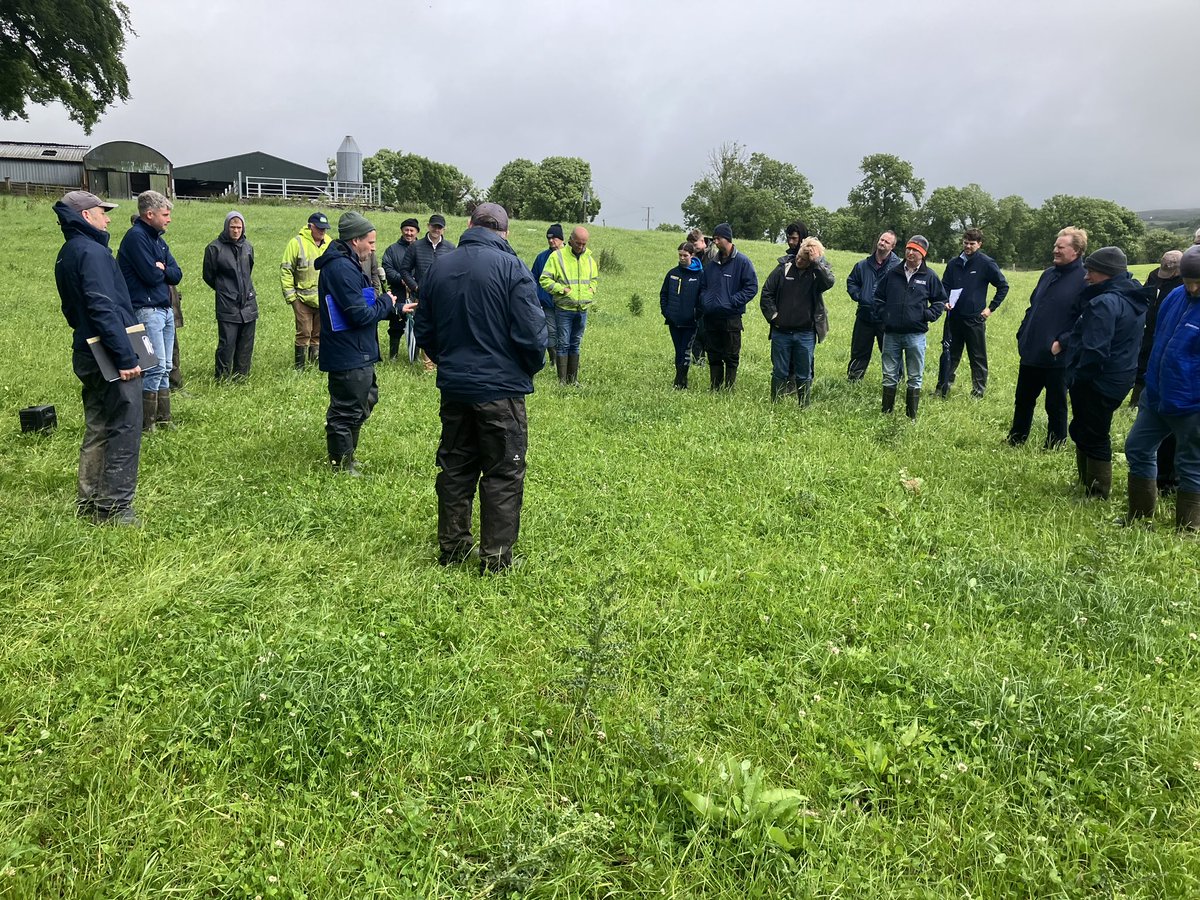 Pat Delaney tweet media