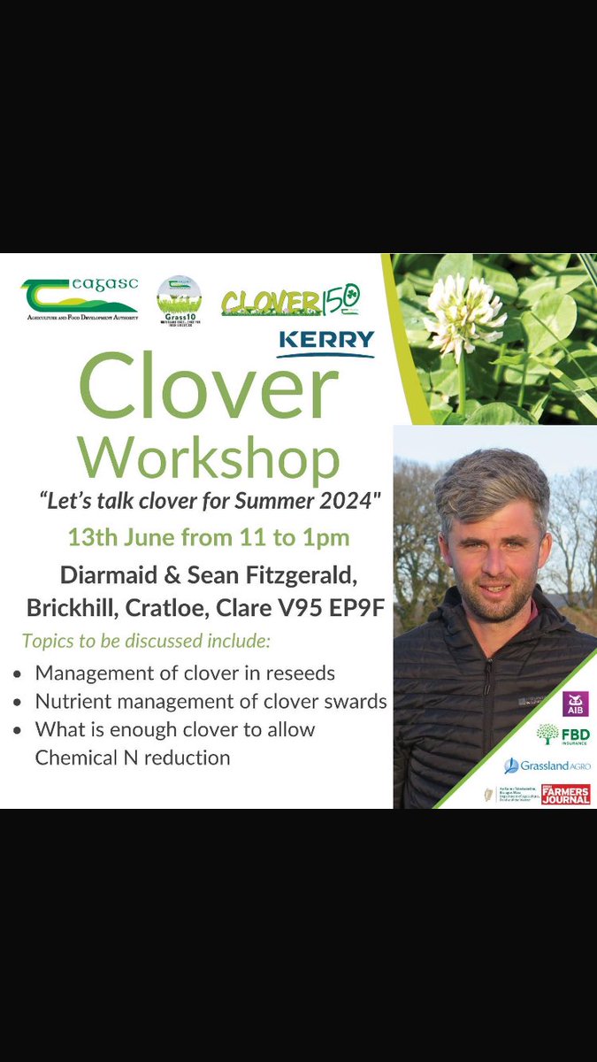 Pat Delaney tweet media