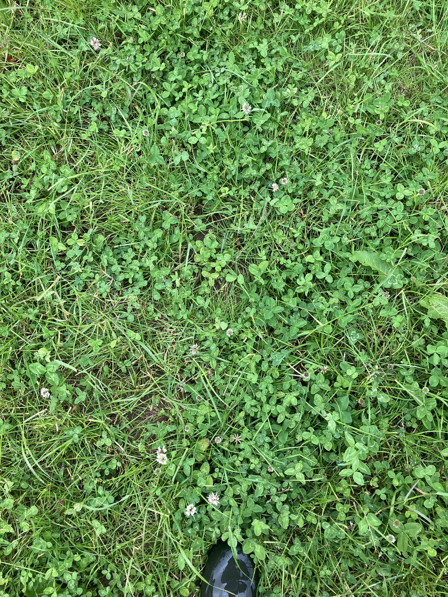 Pat Delaney tweet media