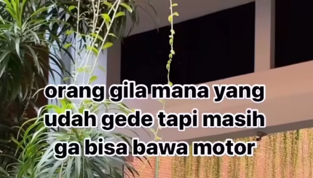 chaa🧸 tweet media