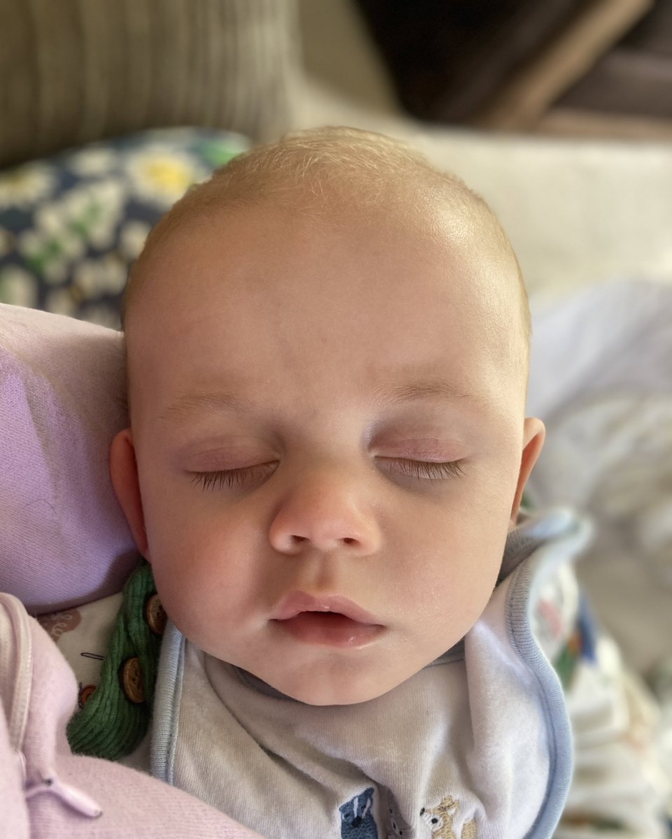 rachaelash12's tweet image. Woken up from a nap feeling like a thirsty husk of a zombie #sleepregression #babyhenry