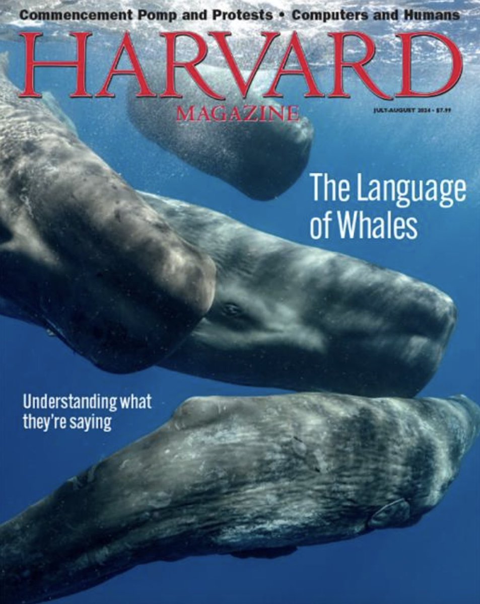Fabulous reporting on <a href="/ProjectCETI/">Project CETI</a> in the Harvard Magazine.

A detailed story on how to combine disciplines--marine biology, engineering, CS, cryptography and of course--linguistics and "old fashioned philology"--around one of the most beautiful undertaking science can imagine: