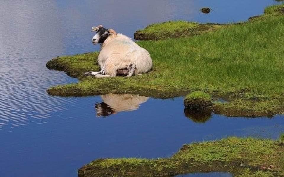 Wales is actually a lot smaller than you think… 🏴󠁧󠁢󠁷󠁬󠁳󠁿