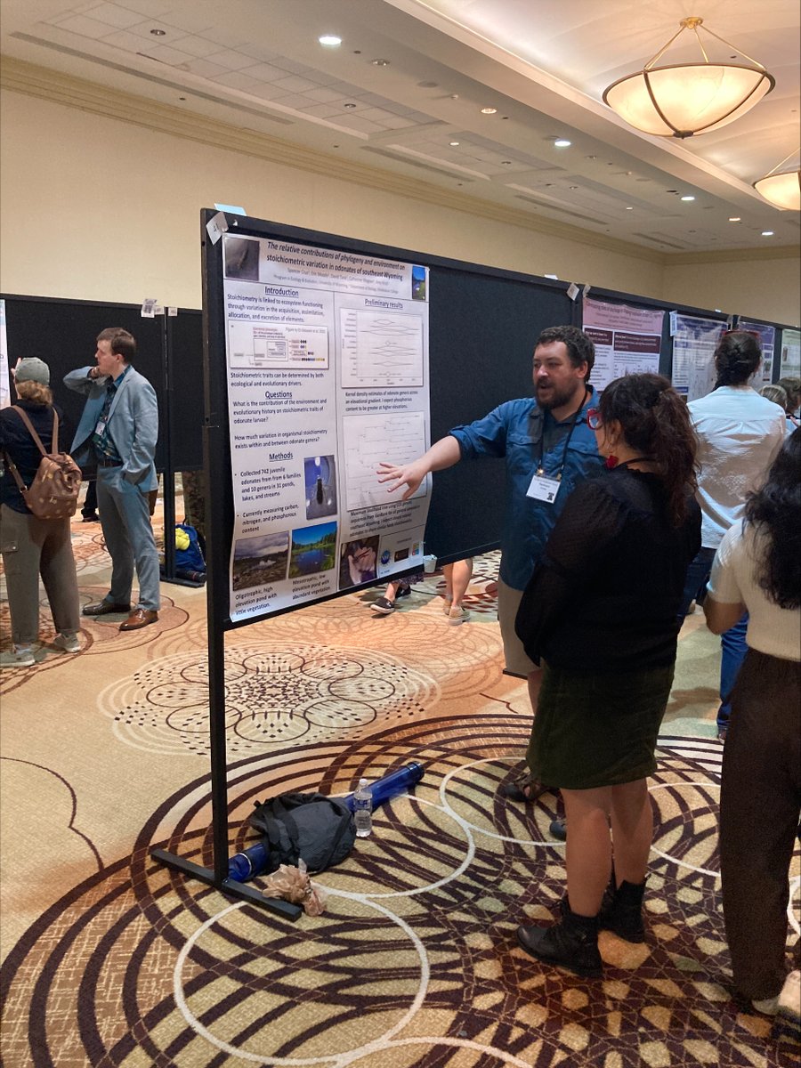 EcoStoich_Cooperative106161 tweet media