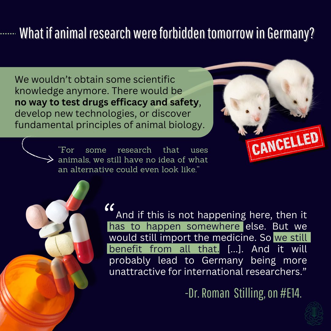 🐭🚫 What if animal research were forbidden tomorrow?

A recent trend in Europe, especially in Germany, has been to promote the prohibition of animal research. Although the initial idea behind this movement is to protect animals, it stems from a lack of knowledge about why this