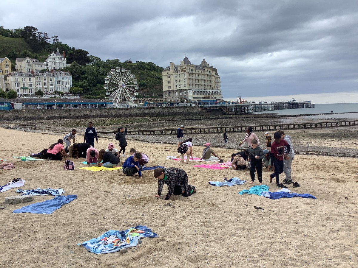 Woden Primary tweet media