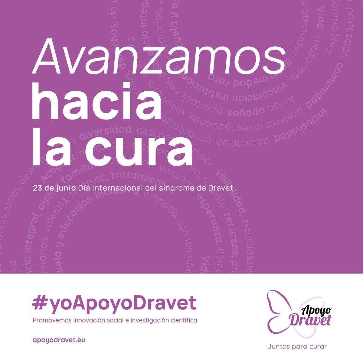 Necesitamos como sociedad un mayor apoyo de nuestras Administraciones para este y otros proyectos. Lo mucho, no puede olvidarse de lo poco o distinto.