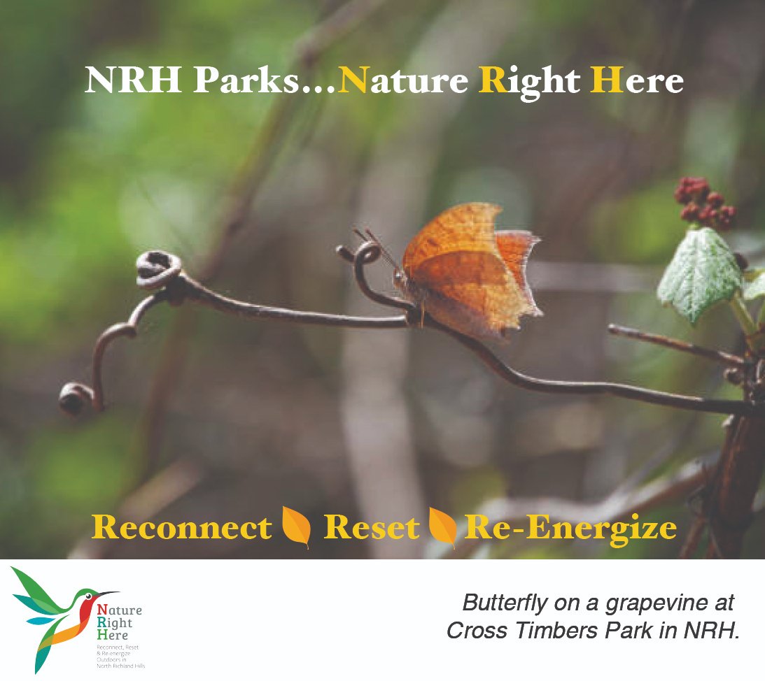 June 15 is National Nature Photography Day. We have so many interesting green spaces right in Nature Right Here! What is your favorite picture to capture or location to take photos in Nature?  Show us some great photos of nature in action today! #naturephotograpy #NatureRightHere