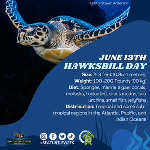 Wildlife Trafficking Alliance tweet media