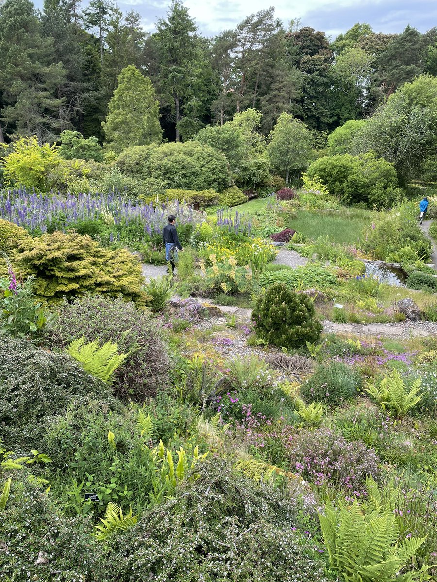BeyondRadical_'s tweet image. Fabulous and fascinating encounter with the St Andrews Botanic garden facilitated by Roxani Krystalli. Thinking about knowledge and pleasure and the senses…and smelling the flowers!