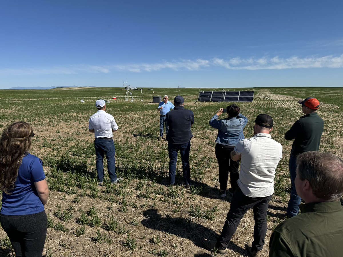 Great morning out in one of the Camelina fields in Montana. Helping Sustainable Oils using science to bring a new sustainable and profitable crop to the farmer’s rotation. <a href="/Intelinair/">Intelinair</a> #climatesmart