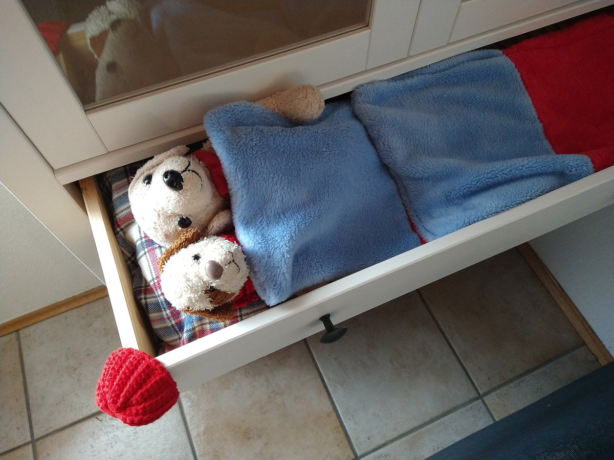 "Guck mal, Onkel Hundi, der Mensch hat einen neuen Schrank aufgebaut!"
"Aber so leer, Flecki! Was können wir denn da rein tun?"
"Onkel Hundi, ich hab' eine Idee. Hab ich bei Dagobert Duck gelesen! Was hälst du davon?"
"Sehr gemütlich! Und der Mensch braucht den Schrank eh nicht!"