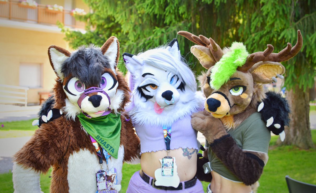 LilacDreamST's tweet photo. Furizon memories ✨

@Shasta_Devrik 
Shandrax (me!) 
@TheDeerSeishin 

All fursuits made by me 💕 https://t.co/293gUoTJDm
