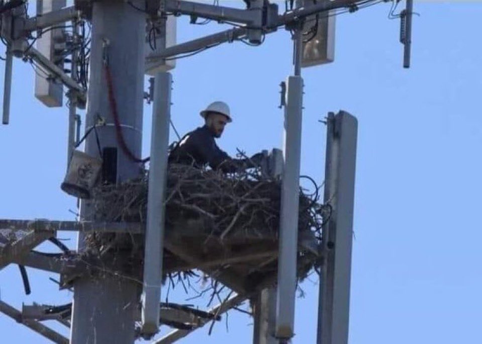 imagem rara de um eletricista recém nascido