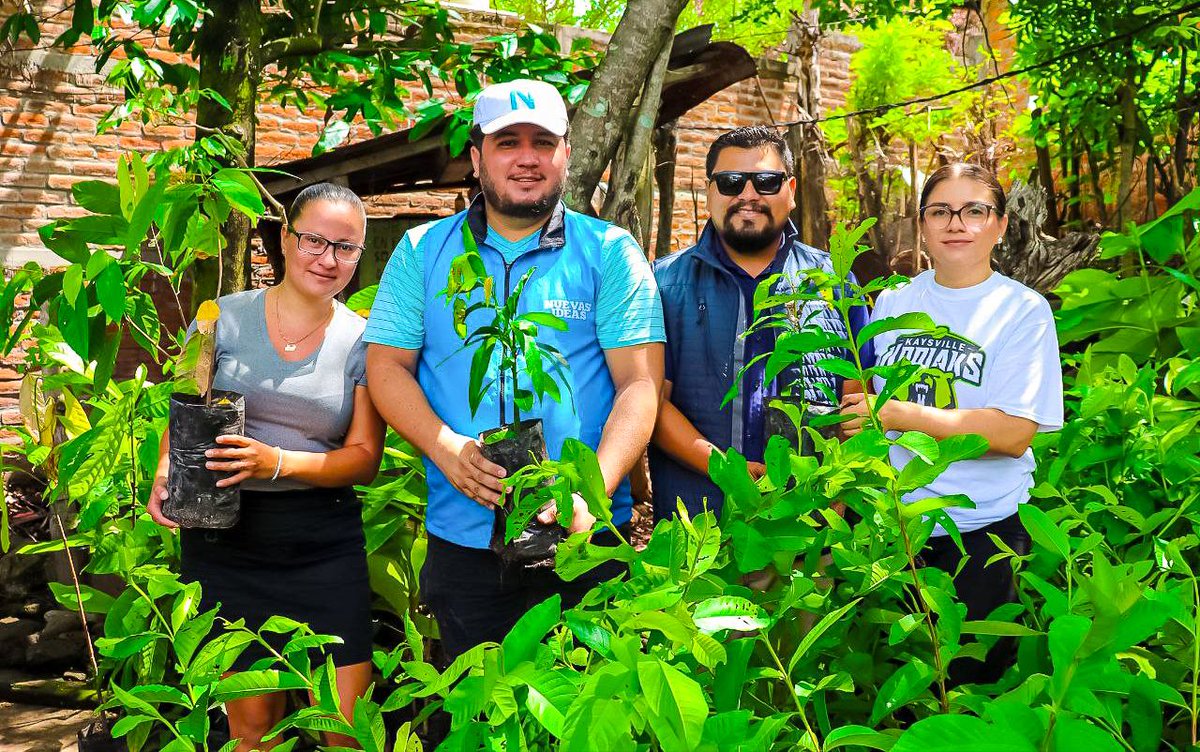OccidenteEs's tweet photo. #DePaís #SantaAna| En el marco del #DíaMundialDelMedioAmbiente, la diputada de la @BancadaCyan por Santa Ana, @LoreFuentesdeOr, gestionó la entrega de 6,000 árboles de distintas especies que serán sembrados en la zona norte del departamento @elsalvador. https://t.co/lMRfvQZ8Xm