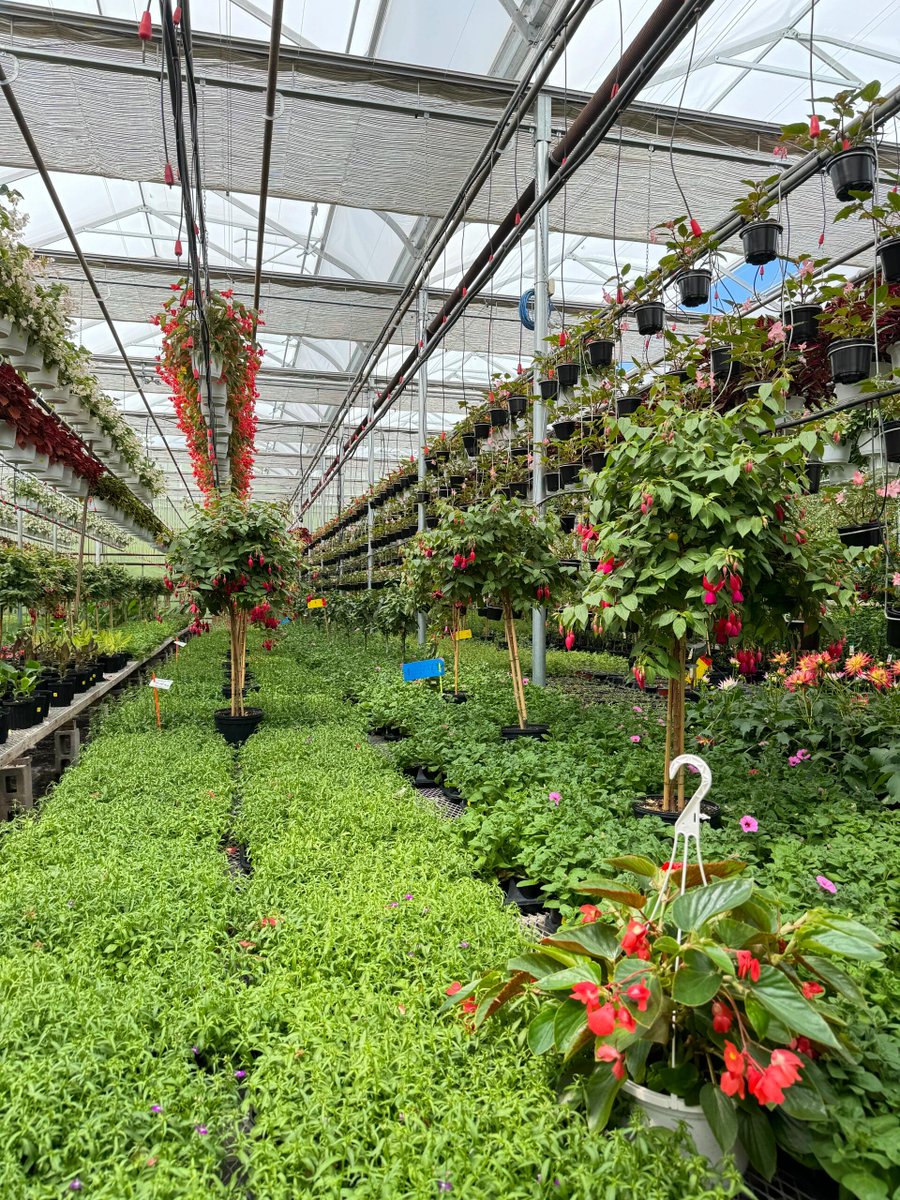 iuiuiu951's tweet photo. Don't judge each day by the harvest you reap but by the seeds that you plant.🌲🌱🥀🎋🌿🌺🌷 https://t.co/NJapxPwoJb