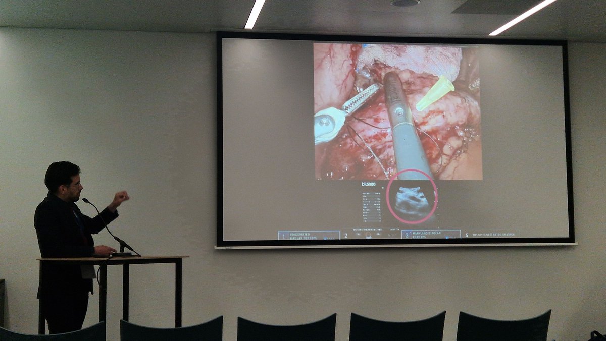 Mima Llompart tweet media