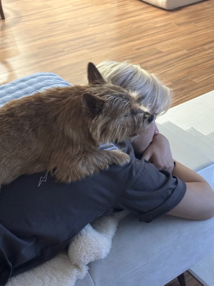 9697 tweet media