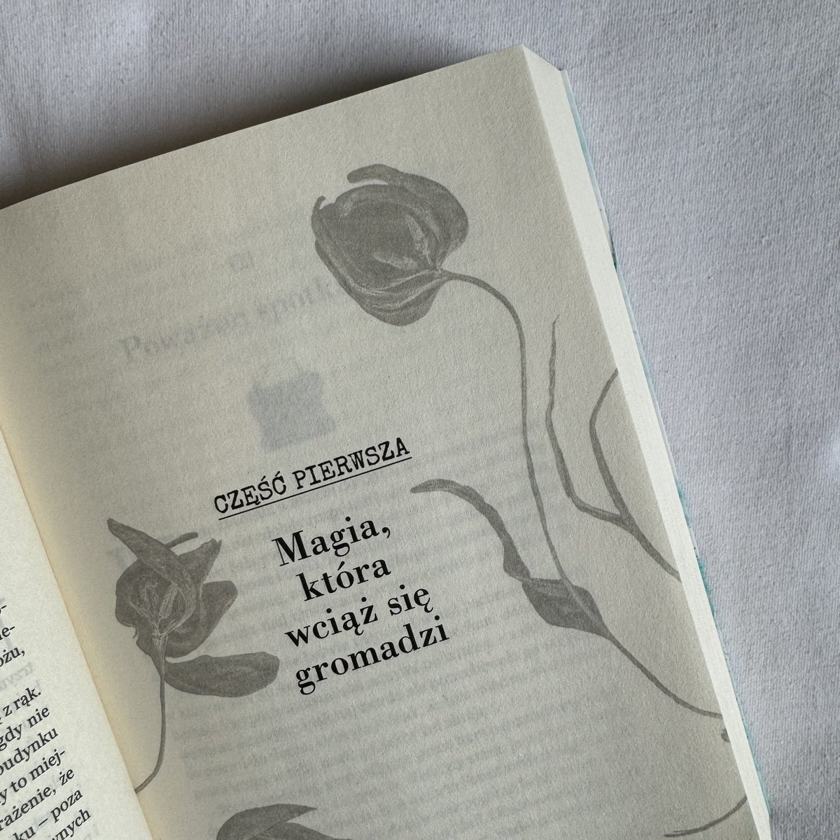 alexxvbooks's tweet photo. Książka, na którą tak bardzo czekałam, a zarazem obawiam się co mnie czeka 😫 #RuthlessVows https://t.co/RSMyQggmdX