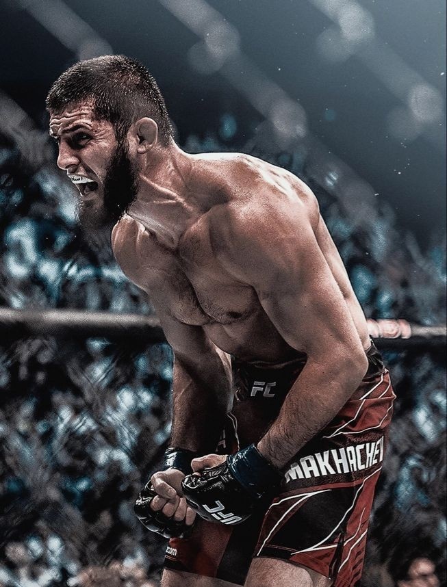 𝐏𝐖𝐈𝐓𝐓𝐄𝐑 𝐋𝐄𝐀𝐆𝐔𝐄 🦁 tweet media