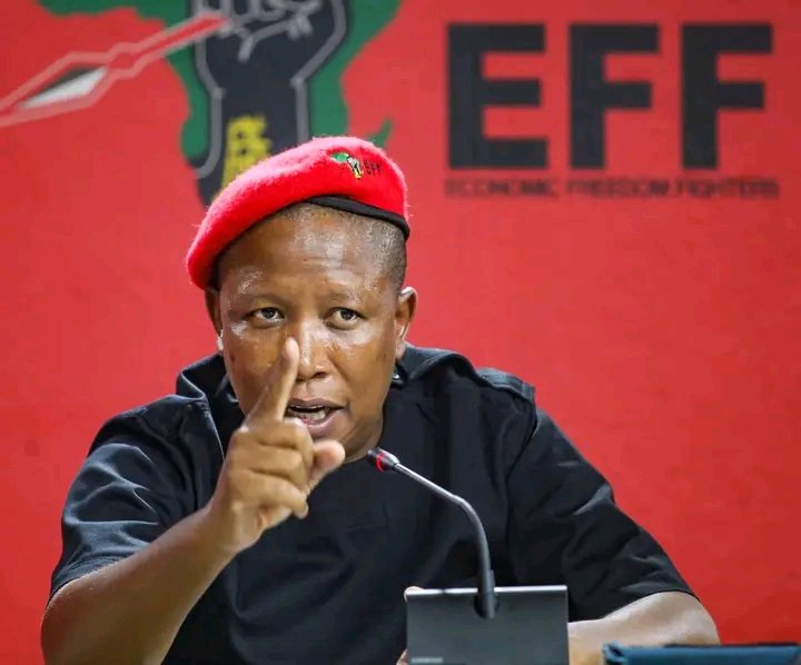 MDNnewss's tweet photo. Julius Malema 🗣 

"why would all of a sudden the DA see holy and good leadership in the ANC, when they have not throughout the years?"

#EFFPresser https://t.co/37VakjXUkM