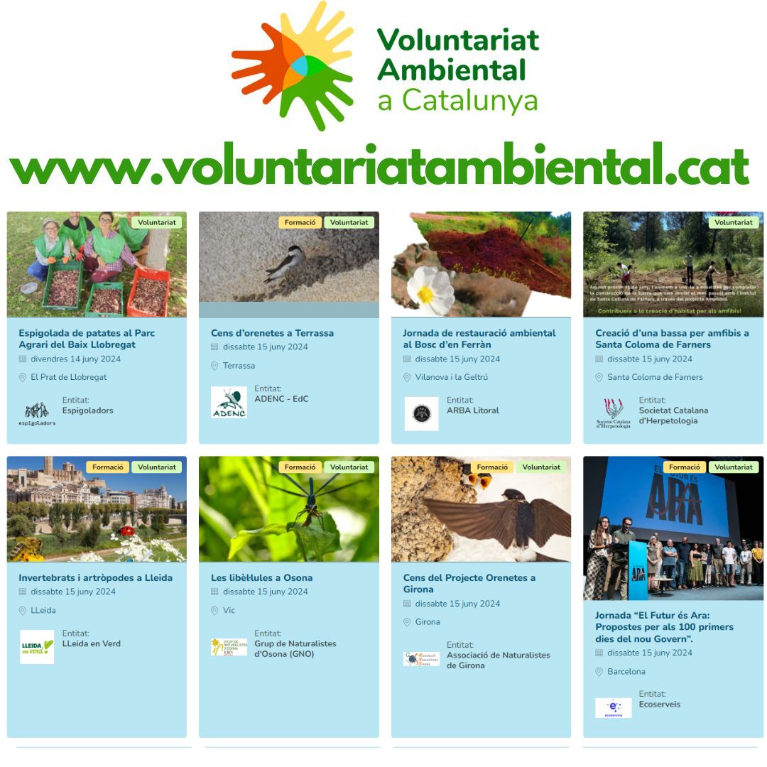💁‍♀️💁El medi ambient i les entitats ambientals et necessiten. 

🕊️🐞 🌍 Et necessita l'aire net, les orenetes, les papallones, la temperatura de l'atmosfera....

🫵I tu què hi pots fer? 

➡️Troba com implicar-te al portal del voluntariat ambiental

voluntariatambiental.cat/#!/llistat