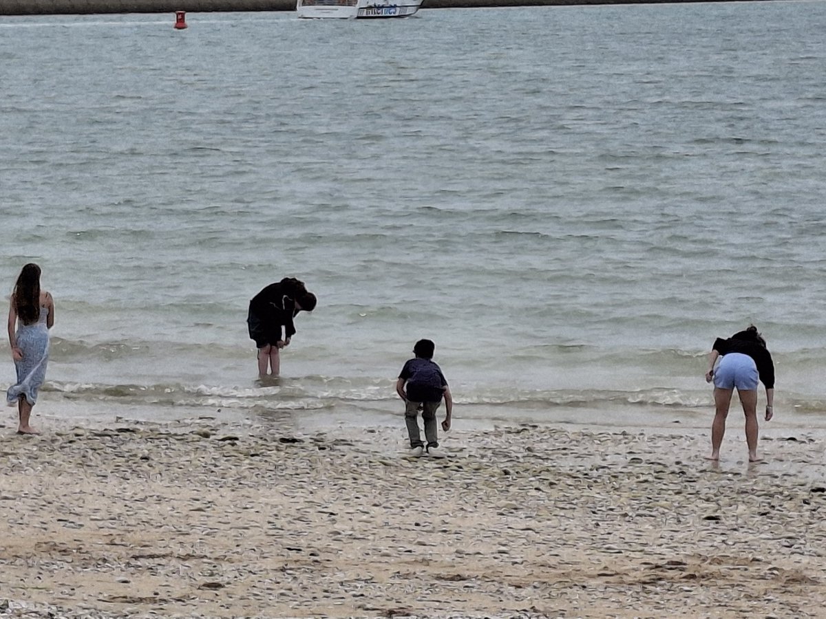 Catherine Boildieu tweet media