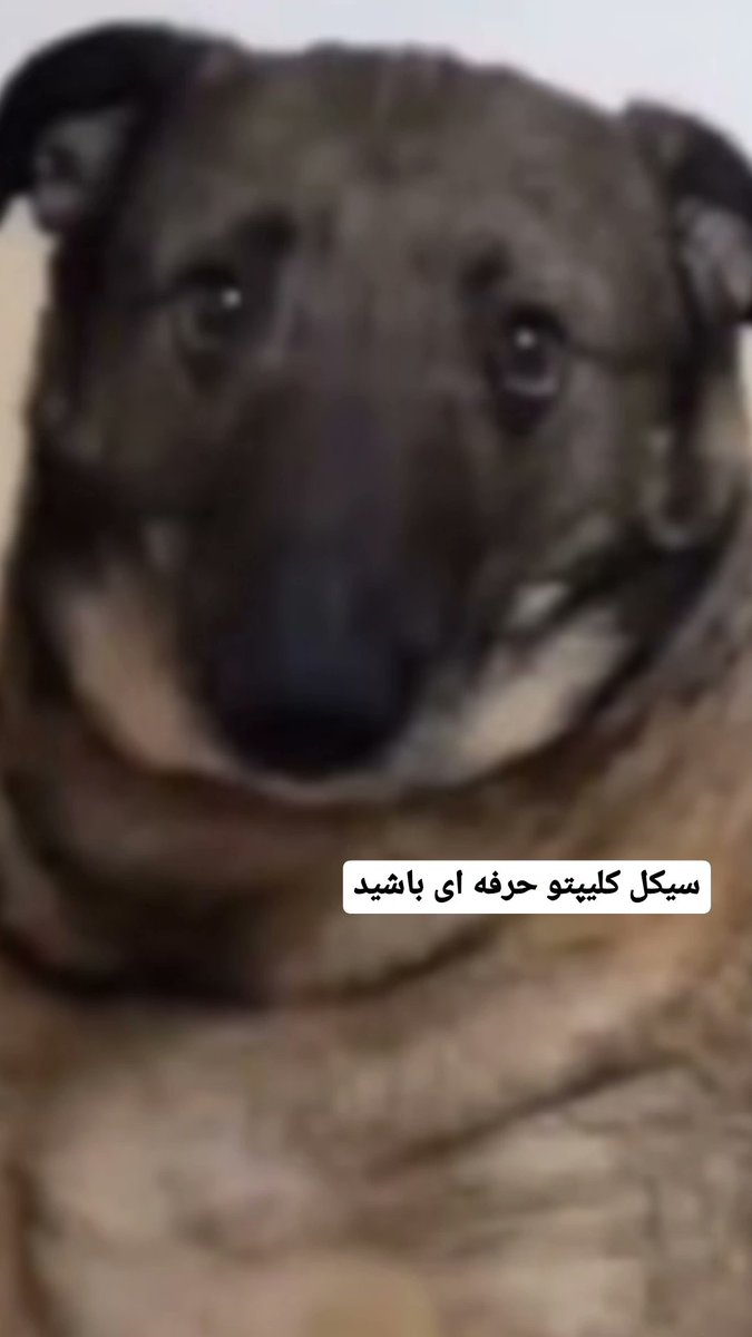 nrg_ppo's tweet photo. @mastersharki گوساله سیکل کونت همه پروژه ها تقریبا همین روال رو پیش میرن دارن یوزر فارم میکنن در اخر هم هیچی جلو یوزر نمیندازن
#zkscam
#zksyncscam https://t.co/E1Md2EIqsI