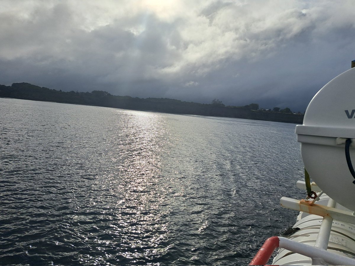 _RobinsonAMS's tweet photo. La magia del sur ✨️..
#surdechile #chiloe 
✨️✨️✨️ https://t.co/BwCHUvalew