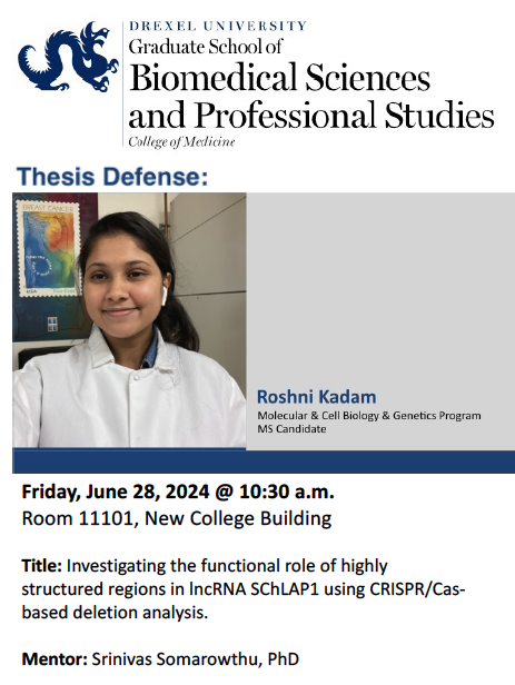 DrexelMCBG (@drexelmcbg) on Twitter photo Thesis Defense 🧬🧬🧬
Roshni Kadam <a href="/DrexelMcbg/">DrexelMCBG</a>
MS candidate
Friday, June 28, 10:30 AM
NCB Room 11101
Investigating the functional role of highly structured regions in lncRNA SChLAP1 using CRISPR/Cas-based deletion analysis
Mentor: Sri Somarowthu, PhD <a href="/DrexelBiochem/">Drexel Biochemistry & Molecular Biology</a> Thesis Defense 🧬🧬🧬
Roshni Kadam <a href="/DrexelMcbg/">DrexelMCBG</a>
MS candidate
Friday, June 28, 10:30 AM
NCB Room 11101
Investigating the functional role of highly structured regions in lncRNA SChLAP1 using CRISPR/Cas-based deletion analysis
Mentor: Sri Somarowthu, PhD <a href="/DrexelBiochem/">Drexel Biochemistry & Molecular Biology</a>