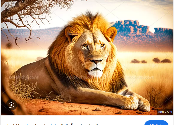 amirevatanbaz's tweet photo. این نقشه تو آسمونا و در مرکز کهکشان راه شیری تعیرف شده، و یک قراداده #ITUT و ریکامندیشن فراجهانی و فرا کیهانیه کسی خایه نداره دست ببره توش مادرش رو خوش خوش می سام هر کس بخواد روی فرامین اهورا مزدای ایران زمین و جهان و کهکشان ها دست ببره و نافرمانی کنه
مادرتون رو کن فیکون میکنم https://t.co/UamcjCWJIi