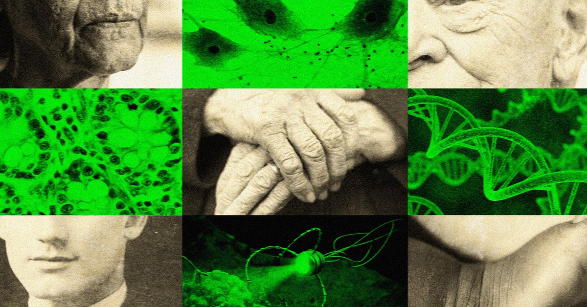 PrajnyaD's tweet photo. The Secret to Living Past 120 Years Old? Nanobots https://t.co/tL7i5nNke2 https://t.co/aRx3n6fo5F