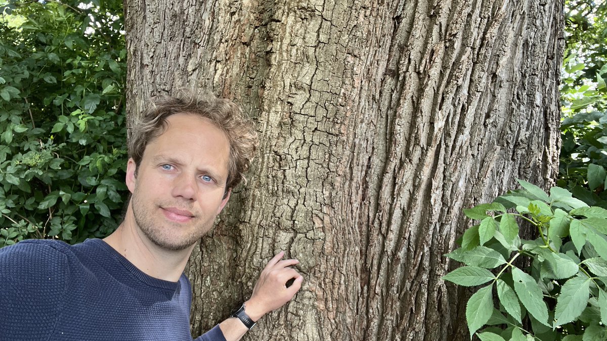 Maarten Veldhuis 💬 tweet media