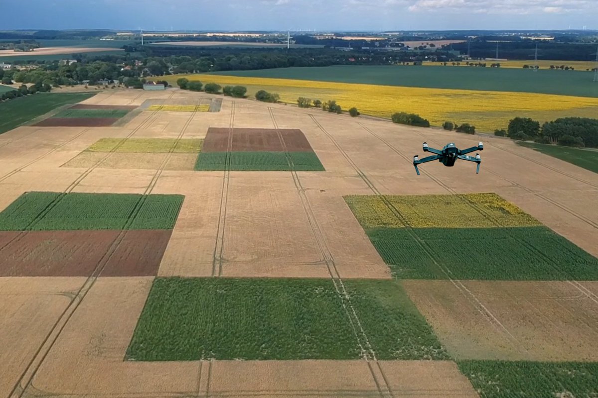 zalf_leibniz's tweet photo. Soja, Linsen & digitale Landwirtschaft: am 18. Juni könnt ihr auf einem Feldtag in Müncheberg vieles über Körnerleguminosen lernen! Besichtigt auch das Landschaftslabor #patchCROP mit diversifiziertem, biodiversitätsfreundlichen Anbau.
Anmeldung & Infos: https://t.co/OnNfdar9P7 https://t.co/WpxRdkxfOS