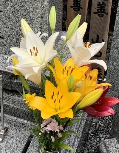 【雄也通信】
フォロワーさんが、雄也がお世話になっていたKUROKI美容室で、ヘアドネーションをして頂きました。その後、雄也のお墓へも素敵なお花をお供えして頂きました。昨年の娘さんに続いて、母娘でヘアドネーション。雄也の思いを繋いで頂いている事に心から感謝感謝です。